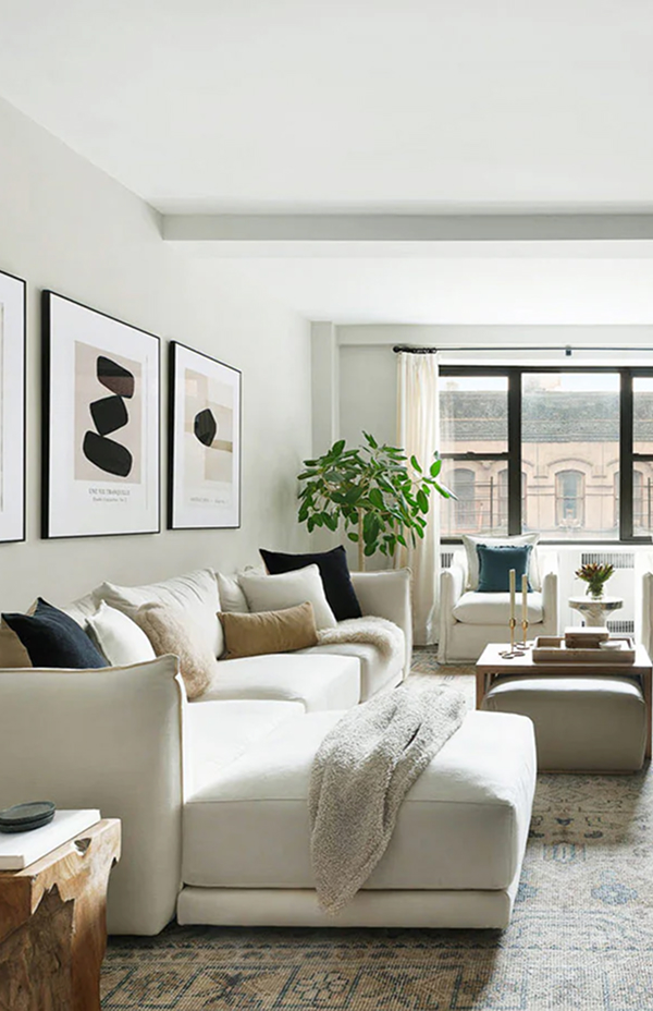 Full Service Representation Condominium Law